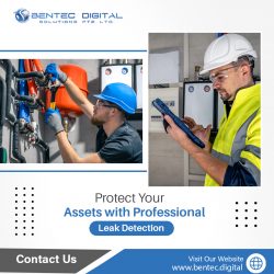Protect Your Assets with Professional Leak Detection