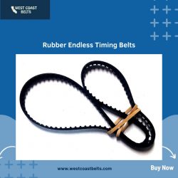 Rubber Endless Timing Belts by West Coast Belts : Premium Drive Solutions