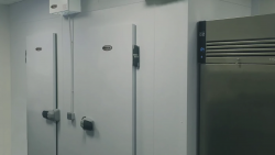 Preserve Freshness With Commercial Fridge Installation