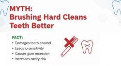 Common Dental Myths You Should Stop Believing – Advance Dental Clinic