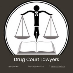 Drug court lawyers – Appeal lawyer