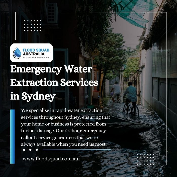 Fast Response Emergency Water Extraction Services in Sydney
