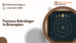 Famous Astrologer in Brampton known for accurate predictions and trusted remedies