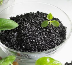 How to Use Humic Acid Powder for Plants Benefits & Quality Standards