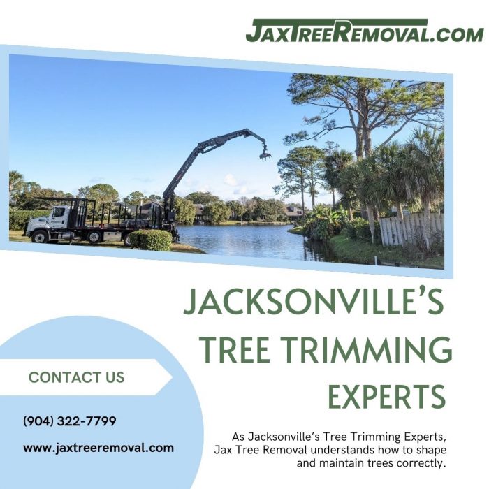 Jacksonville’s Tree Trimming Experts
