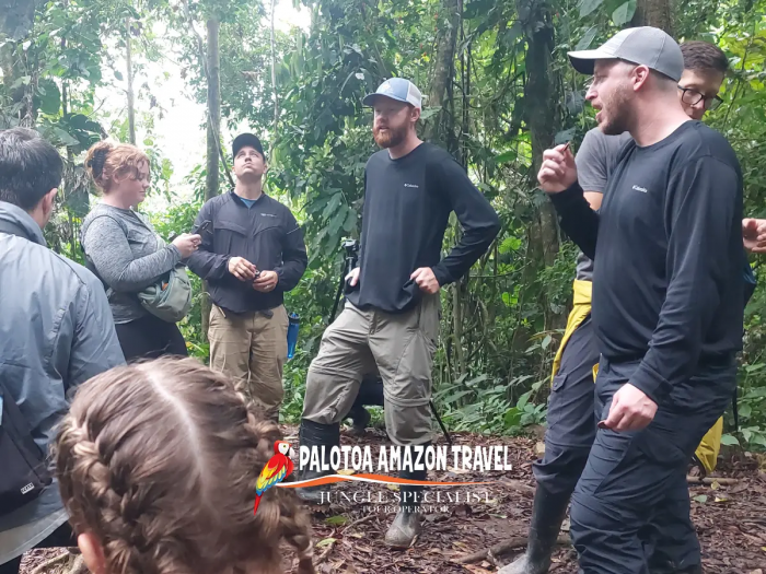 Manu National Park Tours with Palotoa Amazon Travel