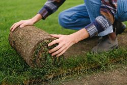 Turf Laying Contractor Sydney Expert Landscaping Services