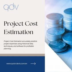 Best Project Cost Estimation | Quick Devis