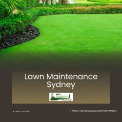 Lawn Maintenance Sydney – Hills Gardening