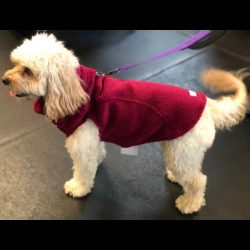 Thermal Fleece Dog Hoodie for Cozy Warmth in Cold Weather
