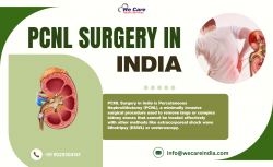 PCNL Surgery in India