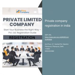 private company registration in india – Efilingcompany