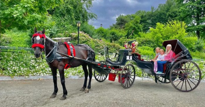 Central Park Carriage Tours