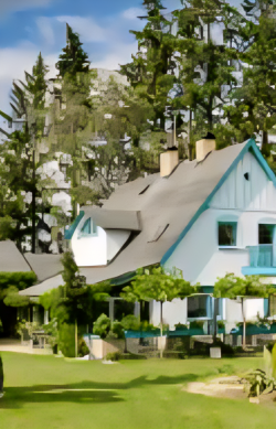 Best Tree Trimming Service near me