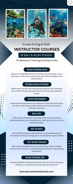 Scuba Diving & PADI Instructor Courses in Bali & Nusa Penida | Professional Training &am ...