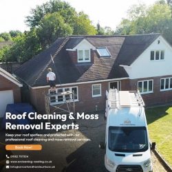 Moss Removal Broxbourne – Stop Slips, Leaks & Structural Damage