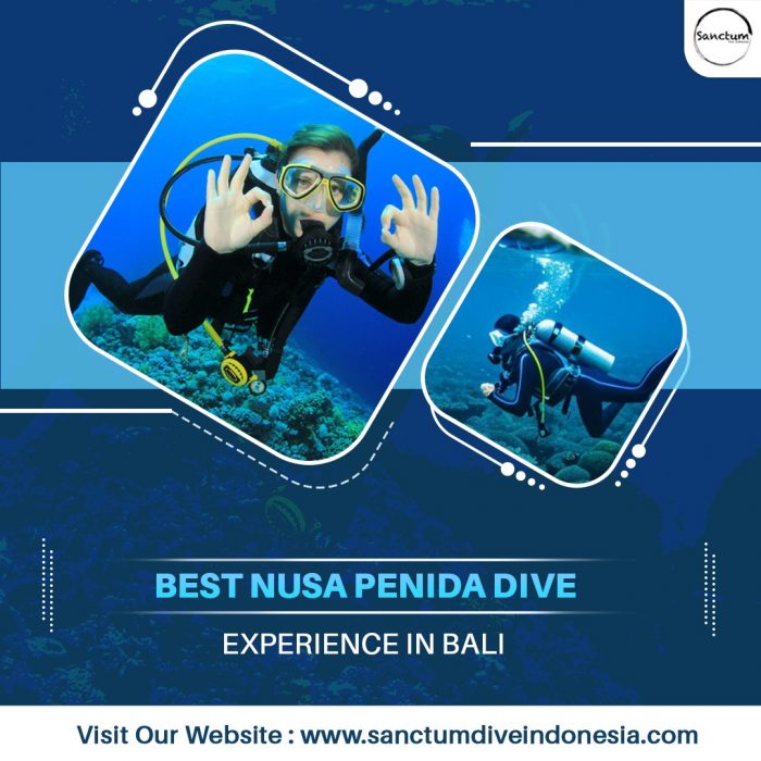 Best Nusa Penida Dive Experience in Bali