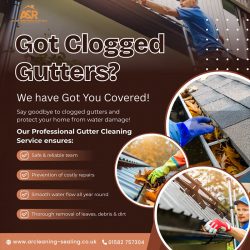 Expert Gutter Cleaning Services for Clog Free Gutters