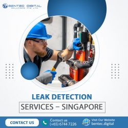 Leak Detection Services – Singapore