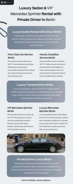 Luxury Sedan & VIP Mercedes Sprinter Rental with Private Driver in Berlin