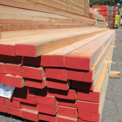 High-Quality Structural Timber for Strong Construction