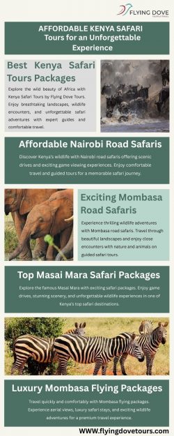Affordable Kenya Safari Tours for an Unforgettable Experience
