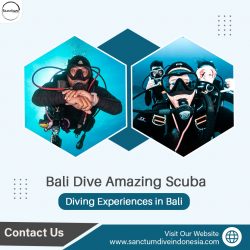 Bali Dive – Amazing Scuba Diving Experiences in Bali