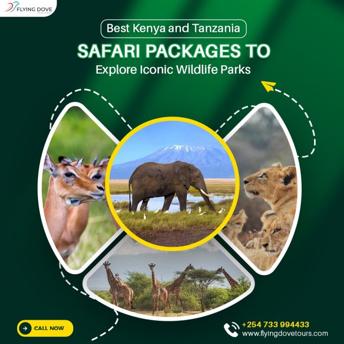 Kenya and Tanzania Safari Packages