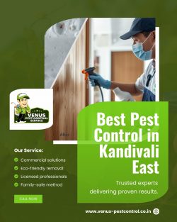 Best Pest Control in Kandivali East – Venus Pest Control