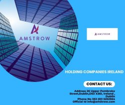 Holding Companies in Ireland
