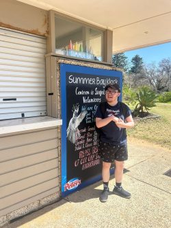 Personalised Home Care Packages Chester Hill for Your Family