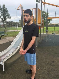 Compassionate Home Care Providers Lansvale Families Trust