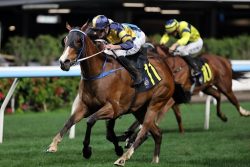 Discover Racing Heritage And Breeding Excellence At Manjri Stud Farm