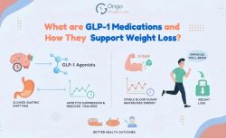 Ongo Weight Loss Guide to GLP-1 Medications and Fat Loss