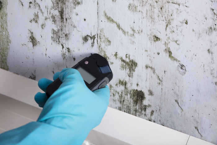 Reliable Mold Testing Dallas for Healthier Indoor Spaces