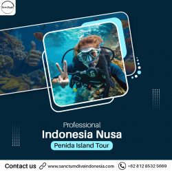 Professional Indonesia – Nusa Penida Island Tour