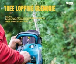 Tree Lopping Glenorie – Hills Gardening