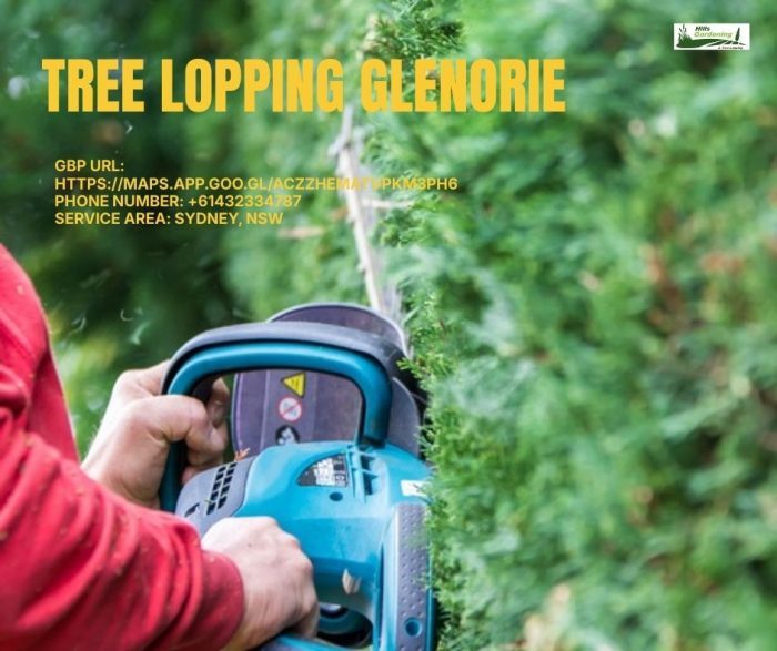 Tree Lopping Glenorie – Hills Gardening