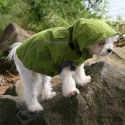 Reversible Dog Puffer Jackets – Dual-Style Comfort & Cozy Protection