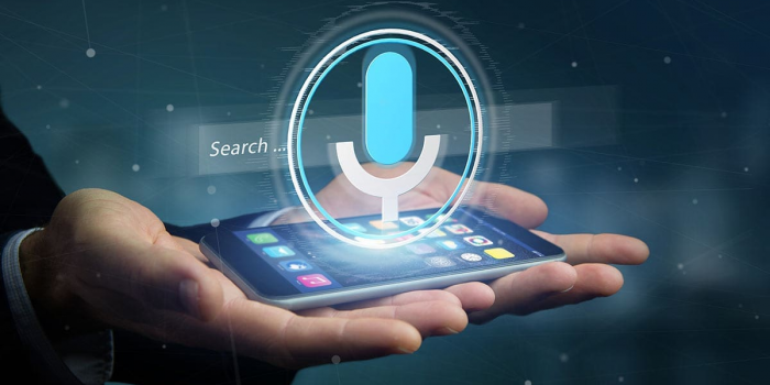 SEO Expert In India