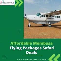 Affordable Mombasa Flying Packages Safari Deals