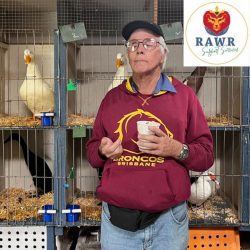 Aged Care Services Cambooya by RAWR Support Services