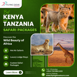 Best Kenya and Tanzania Safari Packages