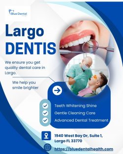 Largo Dentists: Your Guide to Quality Dental Care in Largo, Florida
