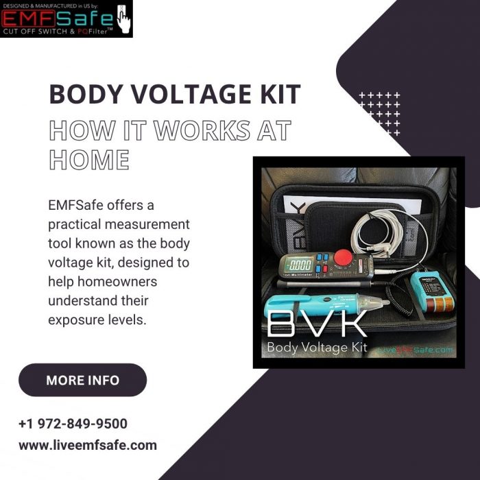 Body Voltage Kit How It Works at Home