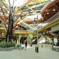 Mixed-Use Commercial Developments