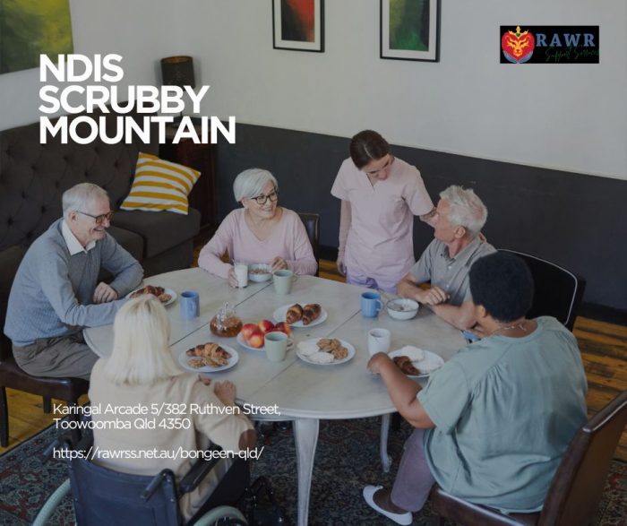 NDIS Scrubby Mountain
