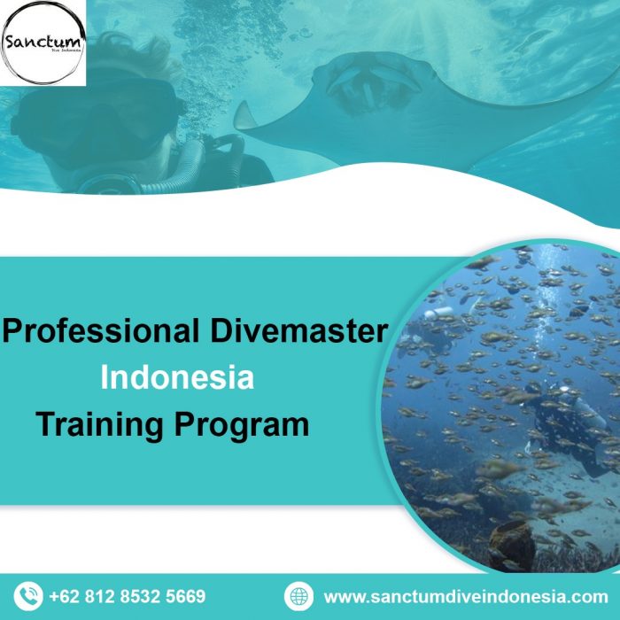 Professional Divemaster Indonesia Training Program