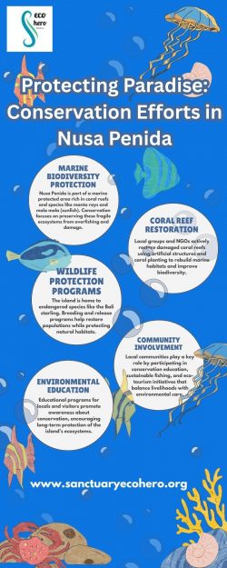 Protecting Paradise: Conservation Efforts in Nusa Penida