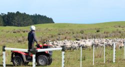 Maintenance PVC Rail Fencing for Your New Zealand Farm or Property